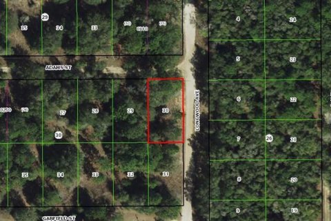 Land in Inverness, Florida № 2164198 - photo 10