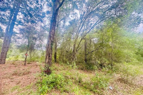 Land in Inverness, Florida № 2164198