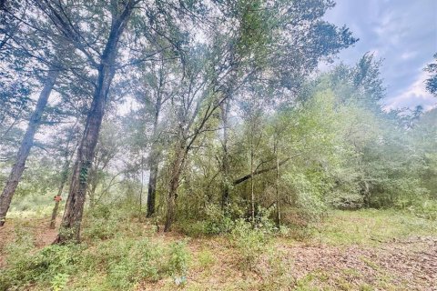 Land in Inverness, Florida № 2164198 - photo 4