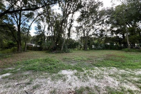 House in High Springs, Florida 3 bedrooms, 111.48 sq.m. № 2419133 - photo 16
