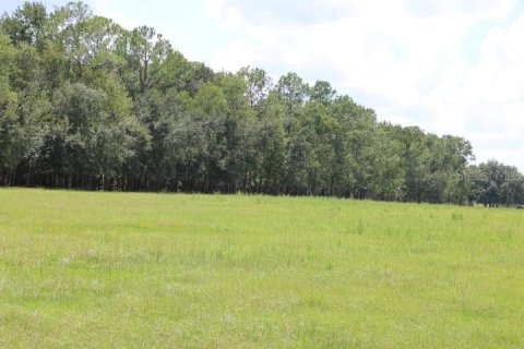 Terreno en venta en Clermont, Florida № 1918629 - foto 5