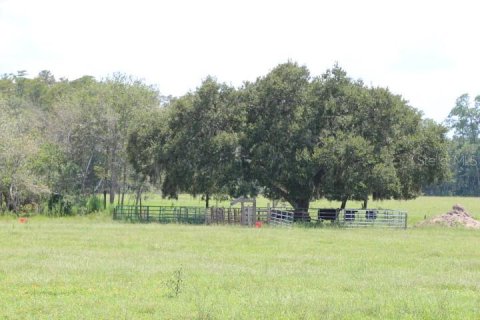 Terreno en venta en Clermont, Florida № 1918629 - foto 24