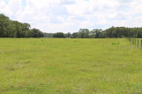 Terreno en venta en Clermont, Florida № 1918629 - foto 6