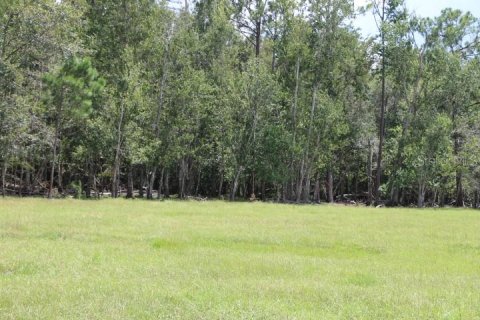 Terreno en venta en Clermont, Florida № 1918629 - foto 4