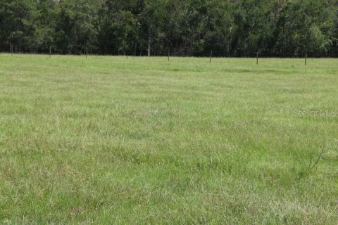 Terreno en venta en Clermont, Florida № 1918629 - foto 17