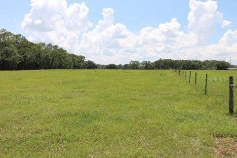 Terreno en venta en Clermont, Florida № 1918629 - foto 7