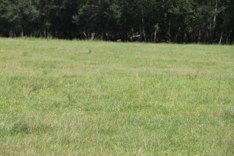 Terreno en venta en Clermont, Florida № 1918629 - foto 27