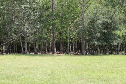 Terreno en venta en Clermont, Florida № 1918629 - foto 3