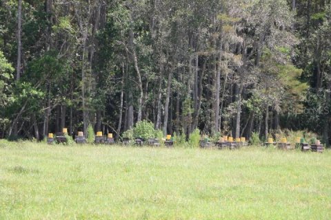 Terreno en venta en Clermont, Florida № 1918629 - foto 28