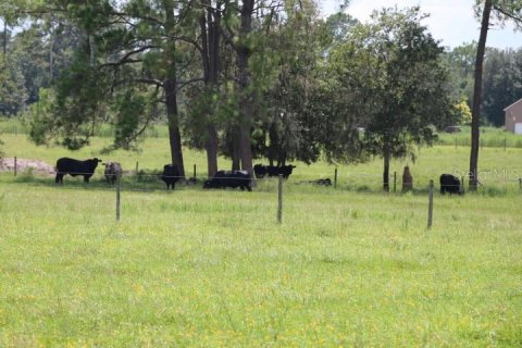 Terreno en venta en Clermont, Florida № 1918629 - foto 18