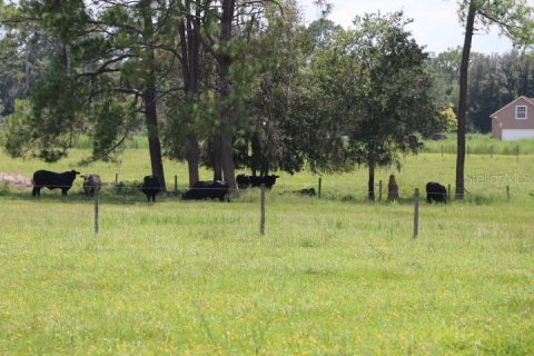 Terreno en venta en Clermont, Florida № 1918629 - foto 19