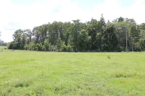 Terreno en venta en Clermont, Florida № 1918629 - foto 22