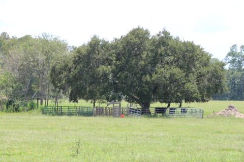 Terreno en venta en Clermont, Florida № 1918629 - foto 25