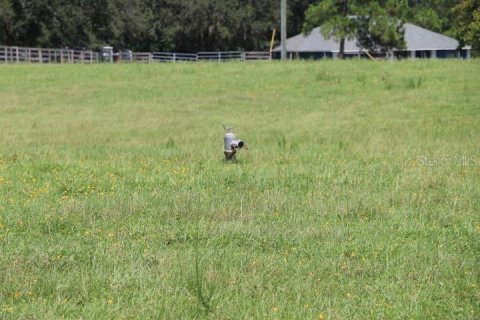 Terreno en venta en Clermont, Florida № 1918629 - foto 26