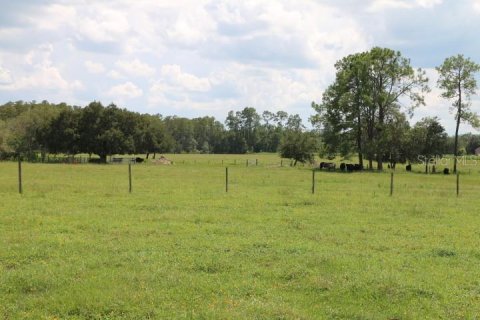 Terreno en venta en Clermont, Florida № 1918629 - foto 30