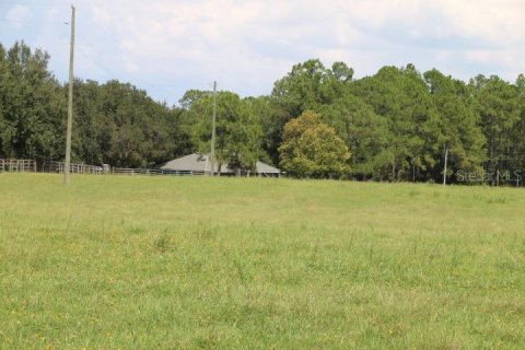 Terreno en venta en Clermont, Florida № 1918629 - foto 29