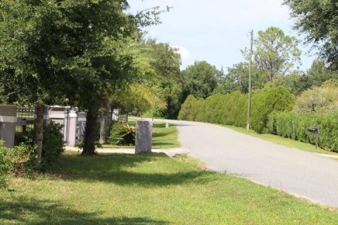 Terreno en venta en Clermont, Florida № 1918629 - foto 14