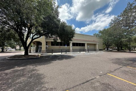 Commercial property in Tampa, Florida 1395.58 sq.m. № 1570883 - photo 6