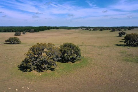 Terreno en venta en Floral City, Florida № 1786324 - foto 4