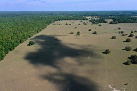 Terreno en venta en Floral City, Florida № 1786324 - foto 6