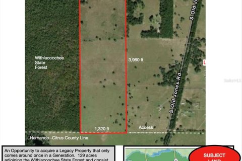 Terreno en venta en Floral City, Florida № 1786324 - foto 1