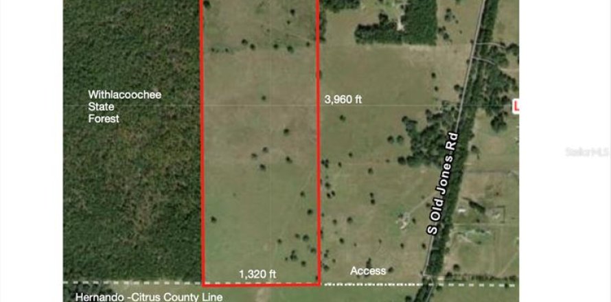 Terreno en Floral City, Florida № 1786324