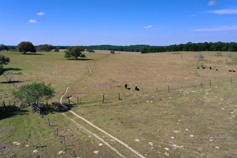 Terreno en venta en Floral City, Florida № 1786324 - foto 5