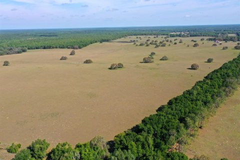 Terreno en venta en Floral City, Florida № 1786324 - foto 2