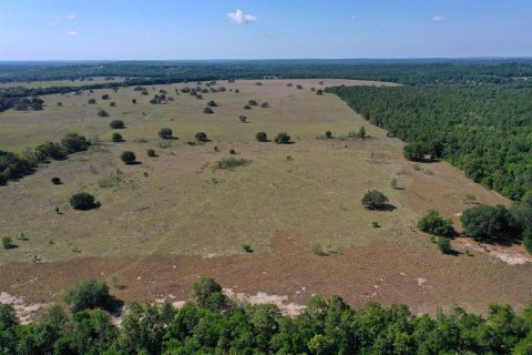 Terreno en venta en Floral City, Florida № 1786324 - foto 7