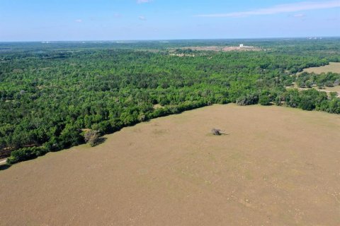 Terreno en venta en Floral City, Florida № 1786324 - foto 8