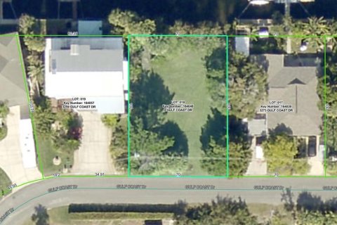 Land in Hernando Beach, Florida № 213342 - photo 3