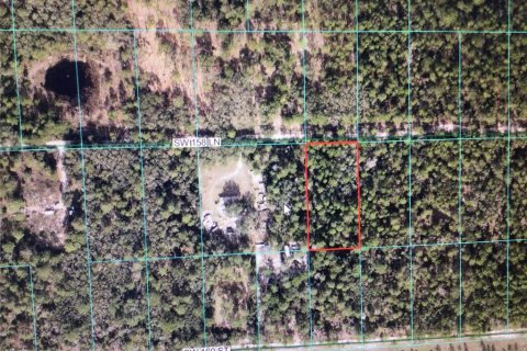 Land in Dunnellon, Florida № 2218768