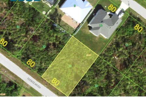 Land in Port Charlotte, Florida № 2159045 - photo 2