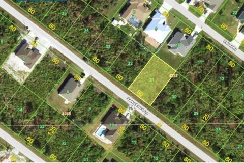 Land in Port Charlotte, Florida № 2159045 - photo 3