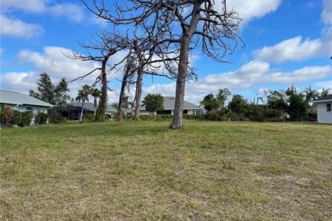 Land in Rotonda, Florida № 1901265 - photo 1
