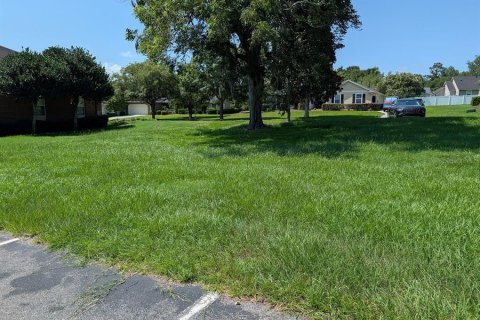Terreno en venta en Alachua, Florida № 2151130 - foto 4