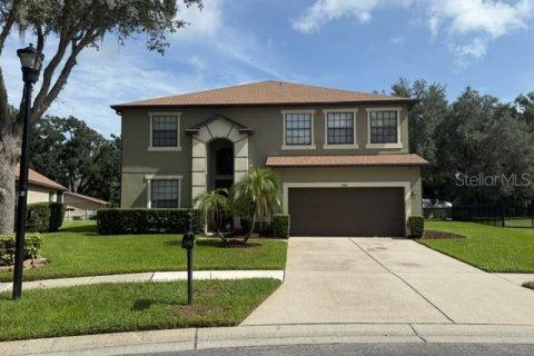 Villa ou maison à Dover, Floride 5 chambres, 337.61 m2 № 2364240