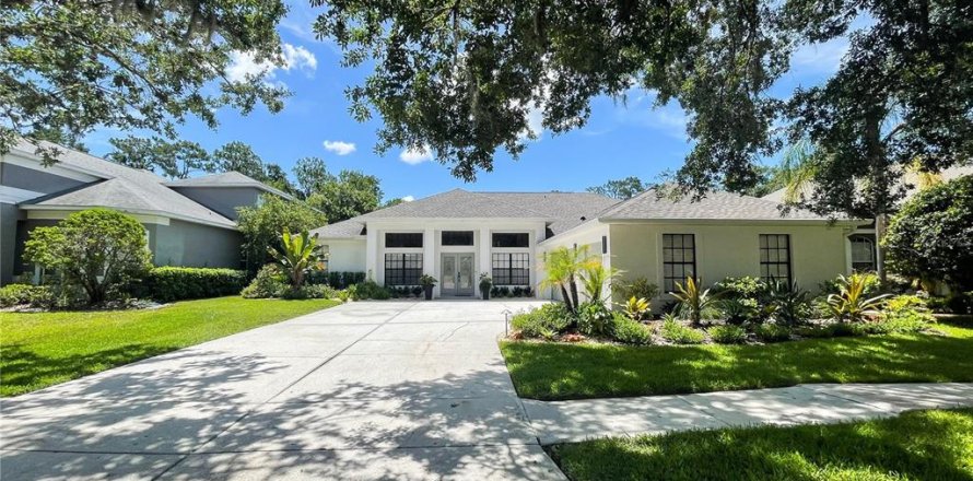 Villa ou maison à Valrico, Floride 4 chambres, 267.47 m2 № 1810603