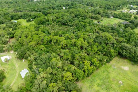 Terreno en venta en Geneva, Florida № 2167054 - foto 3