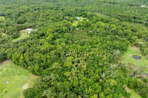 Terreno en venta en Geneva, Florida № 2167054 - foto 10