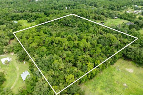 Terreno en venta en Geneva, Florida № 2167054 - foto 4