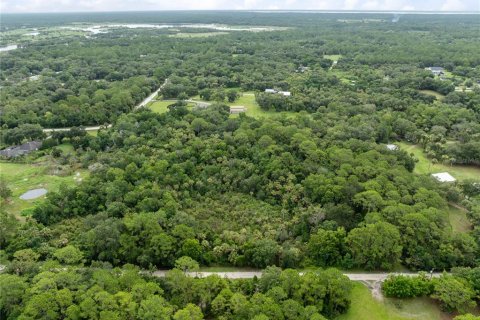 Terreno en venta en Geneva, Florida № 2167054 - foto 16