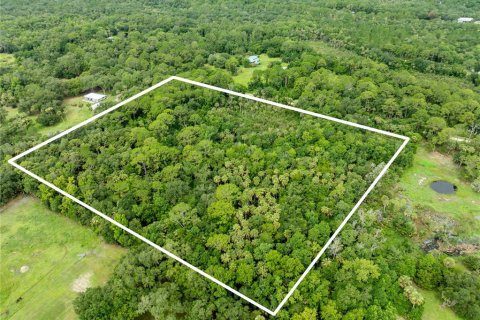 Terreno en venta en Geneva, Florida № 2167054 - foto 9