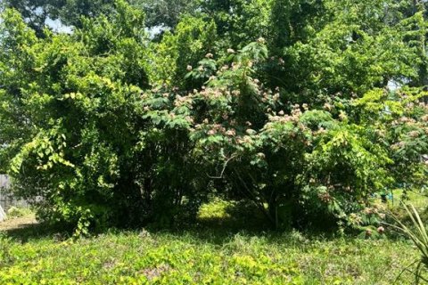 Land in Chiefland, Florida № 2228019