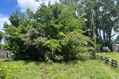 Land in Chiefland, Florida № 2228019 - photo 2