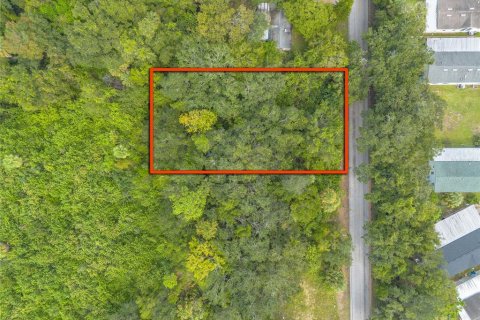 Land in Daytona Beach, Florida № 2166238 - photo 4