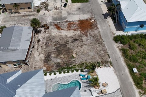 Land in Fort Myers, Florida № 1775770 - photo 17