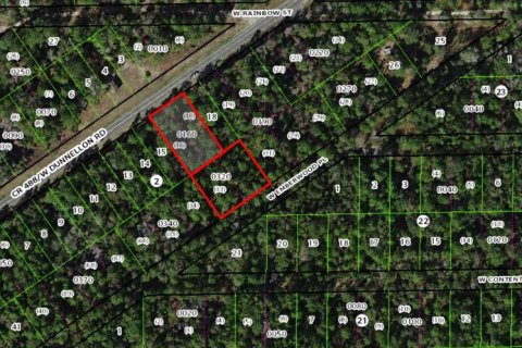 Land in Dunnellon, Florida № 2395719 - photo 7