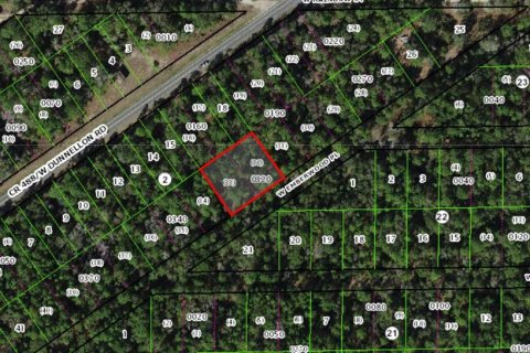 Land in Dunnellon, Florida № 2395719 - photo 2