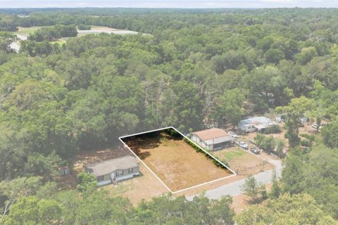 Land in Ocala, Florida № 2162184